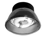 Garage Light Induction Type Lighting Fixture Fixtures